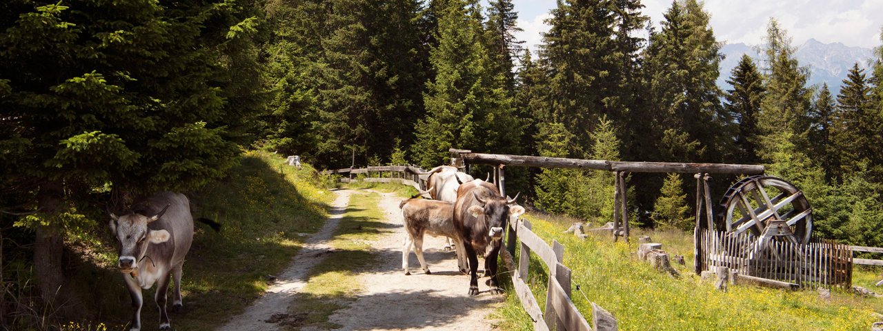 Im Familienpark, © Tirol Werbung/Frank Bauer